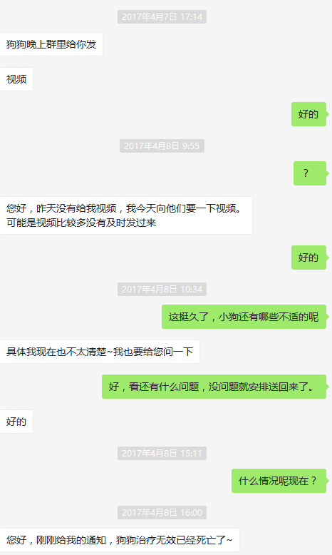 结果突然就给我说,小狗抢救无效死亡了! 突然不想写了.