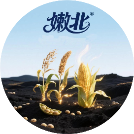 嫩北农场有限公司