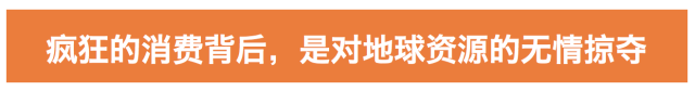 2000亿的“双十一”疯狂后,中国正面临一场生态灾难