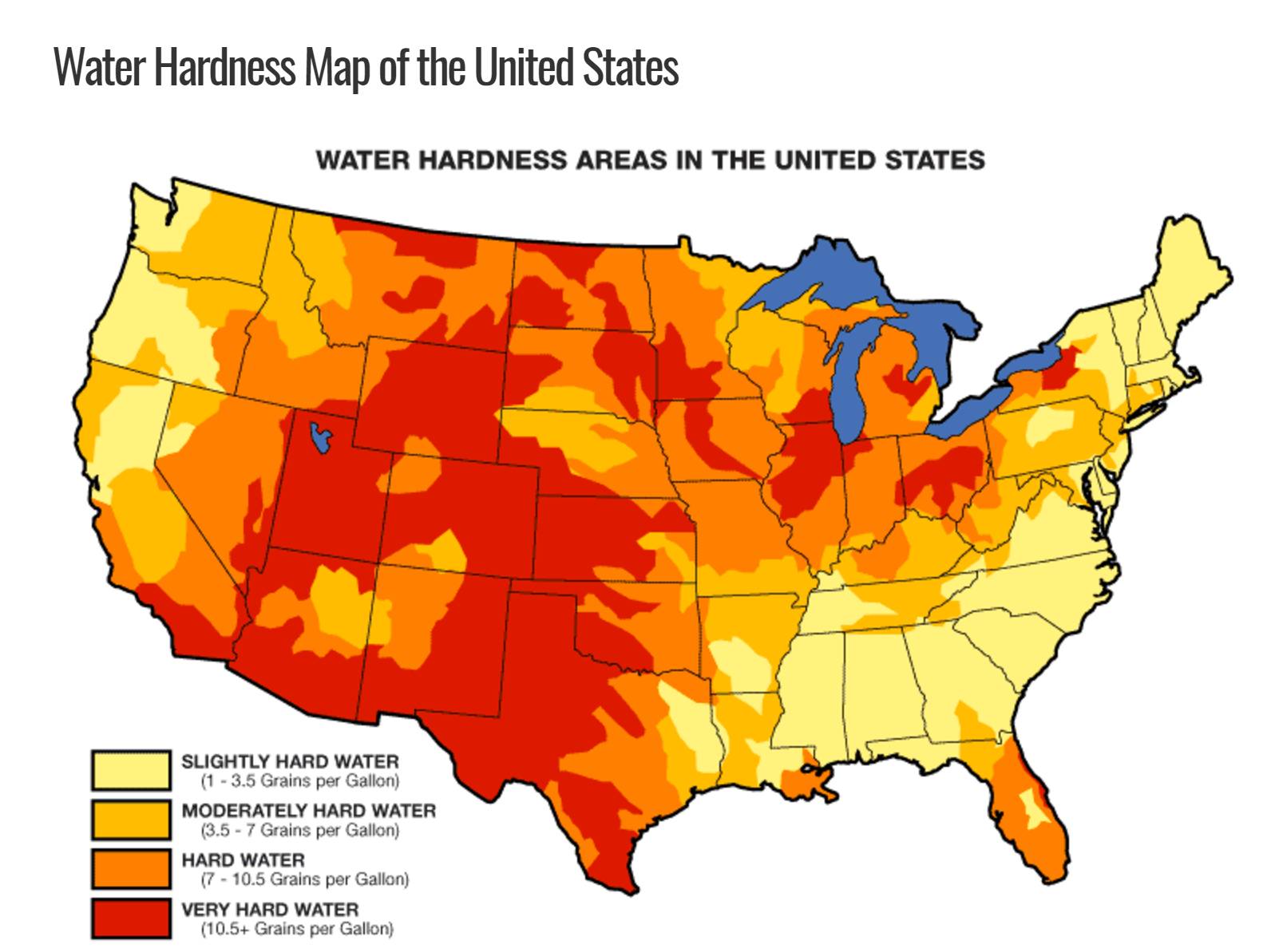 来美国上学后，我头发掉光了……别笑，真事儿！