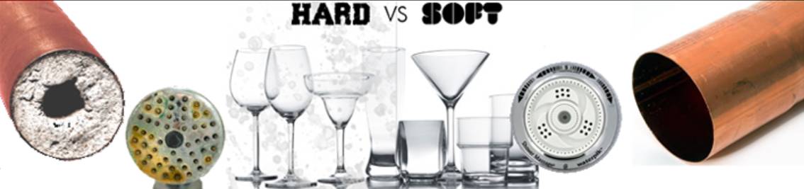 来美国上学后，我头发掉光了……别笑，真事儿！