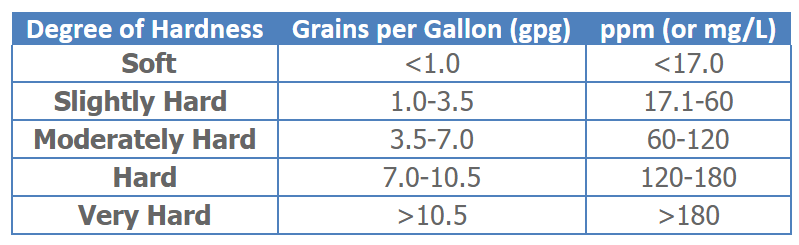 来美国上学后，我头发掉光了……别笑，真事儿！