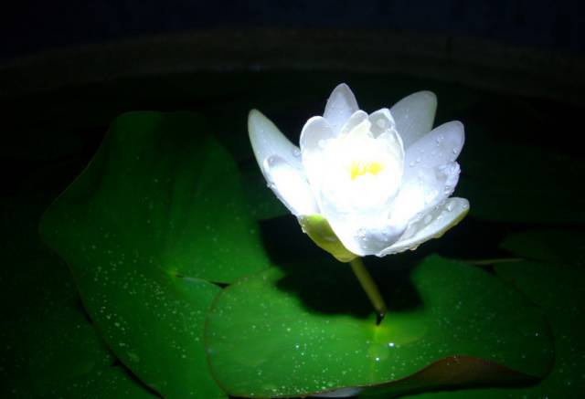 徐州这个地方一天玩个来回刚刚好！还有漂流、采摘、骑马和龙虾节在向你招手