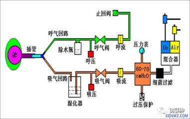 急救什么机急救设备——呼吸机常用模式及适应症_https://www.jmylbn.com_新闻资讯_第5张