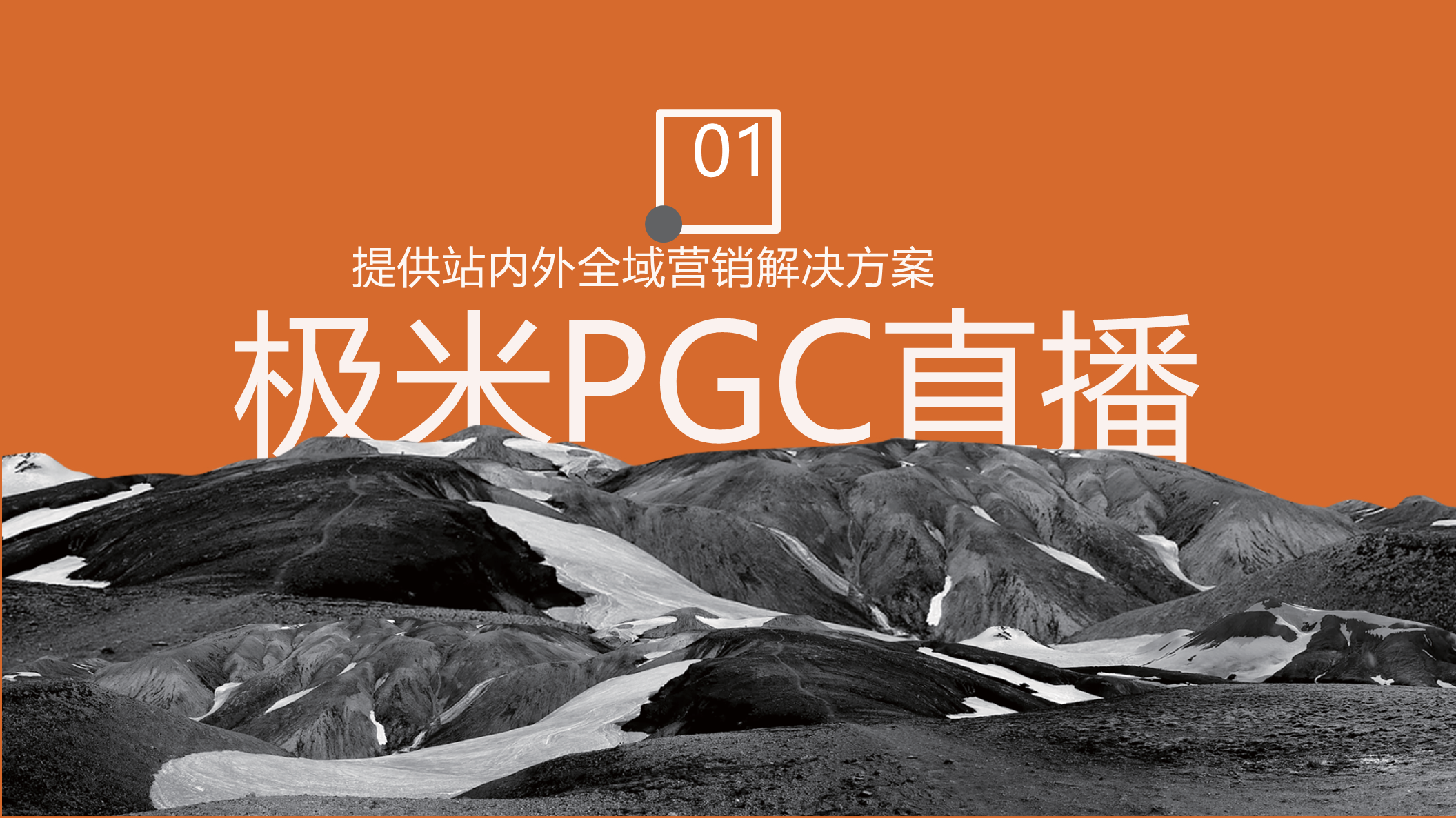 广东极米传媒科技集团有限公司