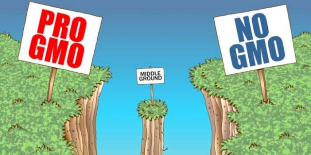 美国的转基因食物