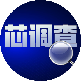 芯调查