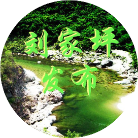 陇南文县刘家坪乡