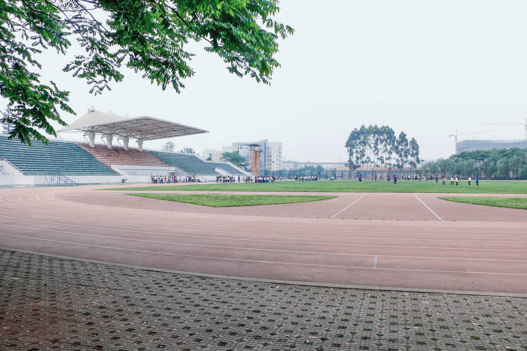 谢谢你,成都大学!