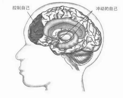这10个终身学习方法，拉开了毕业后人和人的差距