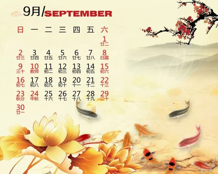 2018第一天,陈蓉晖小提琴版音乐挂历送给你,开启美好