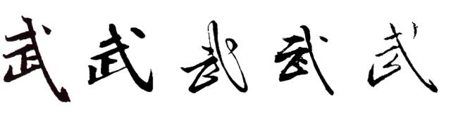 此外,武术追求形体美 武术的形体美如书法 在一个空间内 表达线条
