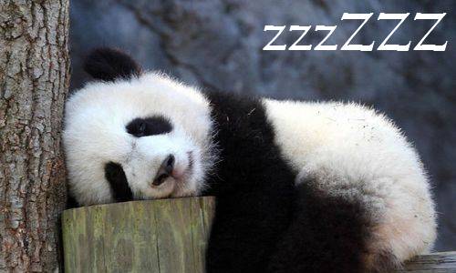 新兴工具下的后端开发实践 | CODING 技术小馆 西安站