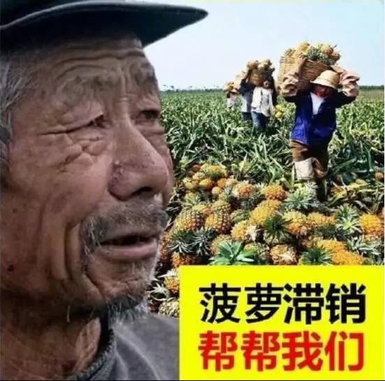 滞销3000亿,老大爷囤货量远超淘宝全面销售额,"同情"营销背后的逻辑