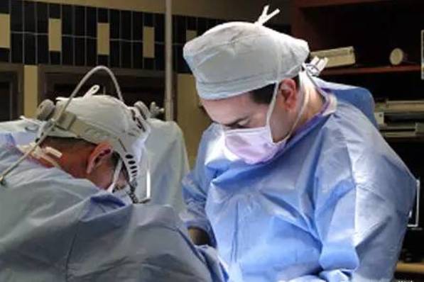 Image result for 哈佛大学医学院教授Dr. Mudge