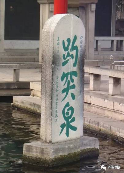 凯茵新城雅湖居湖居房屋出租_东丽湖万科城鹭湖_大明湖