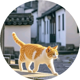 猫猫暖言