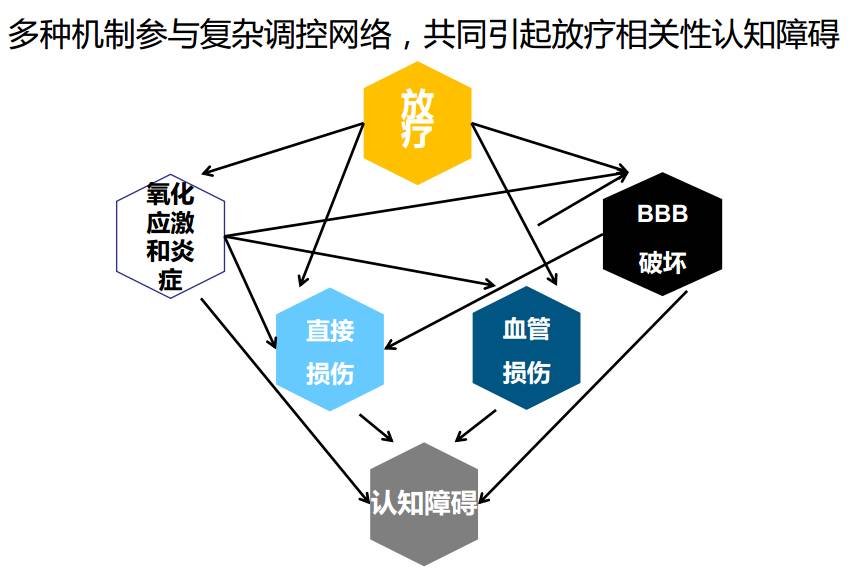 放疗引起认知功能障碍的机制以及干预和预防