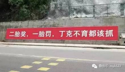 县长在二胎动员大会上的讲话!听完不生二胎都惭愧!-怀孕期