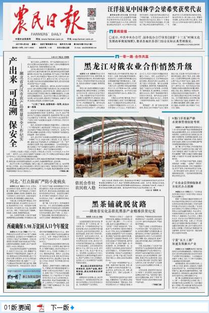 回顾十九大！央视特别报道《黑茶铺就脱贫路》