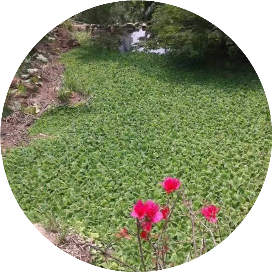 麻辣姬姒形象顾问