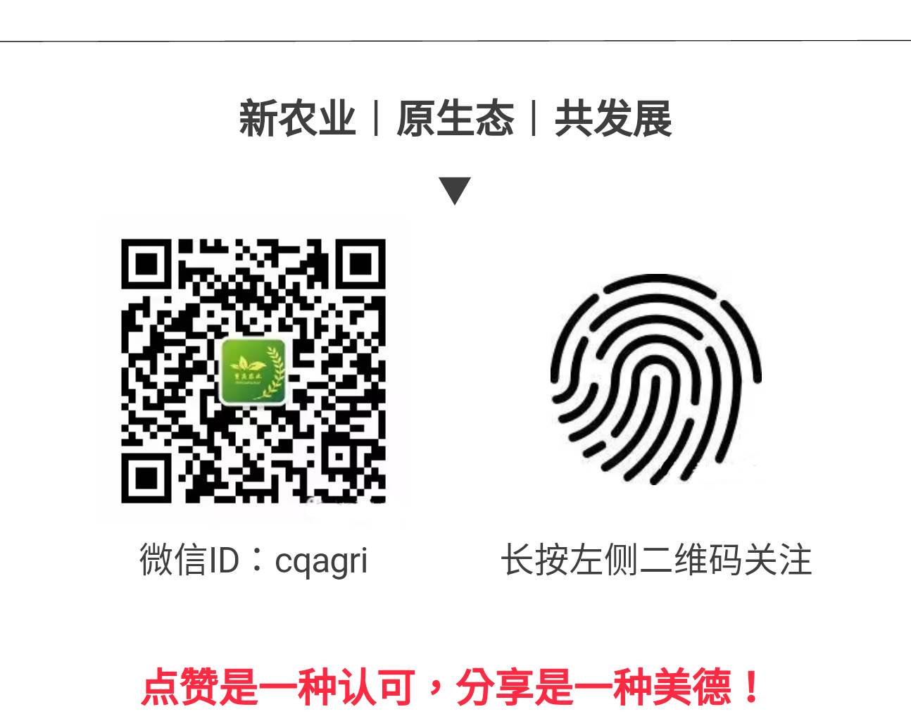 3.webp (1).jpg