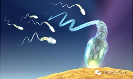 备孕要特别留意自己的基础体温-怀孕期