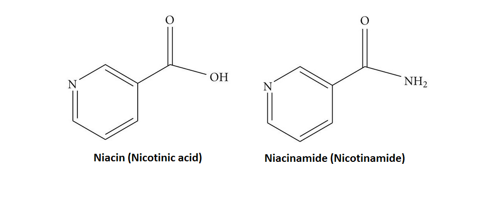 烟酸和烟酰胺
