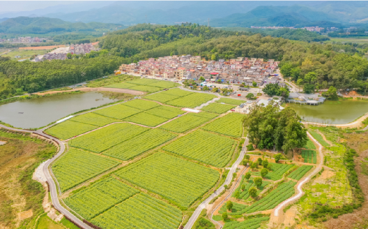 我们将在首届《乡村振兴大擂台》优秀村获得者—台山海宴五丰村