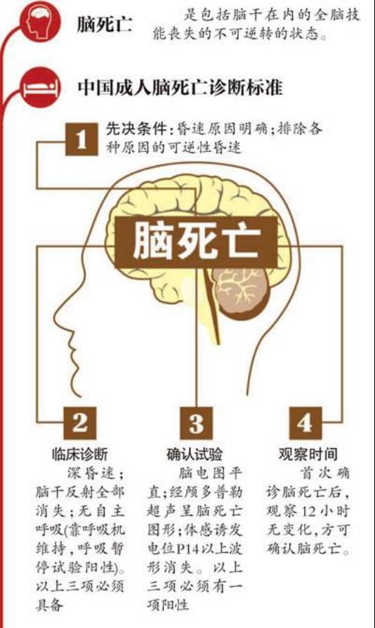 脑死亡与植物人有本质区别至于媒体中常常提到的感人新闻"家属不离不