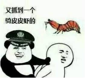 一只皮皮虾的传奇故事