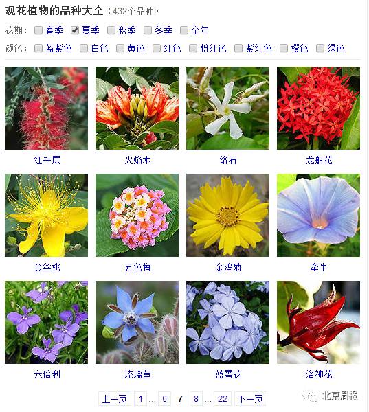 我們一直在說 生如夏花 可你知道 夏花 都是什麼花 上 北京週報 微文庫