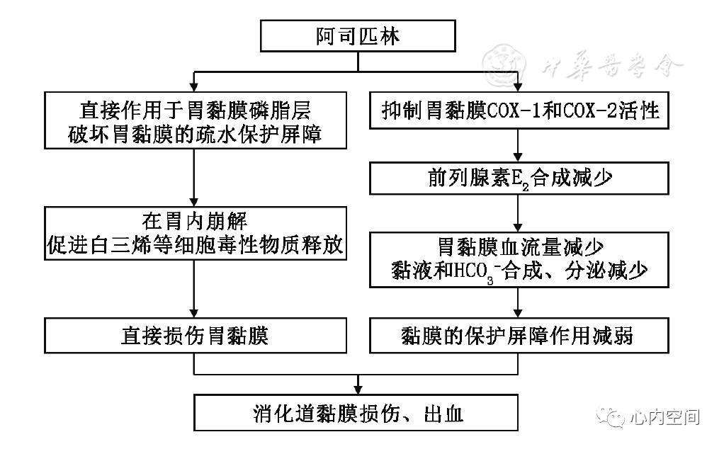 阿司匹林致消化道损伤的机制