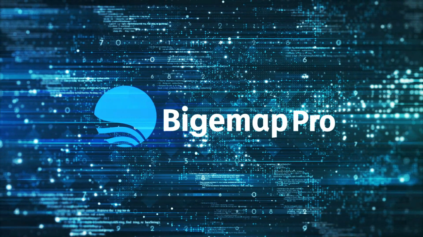 bigemap pro