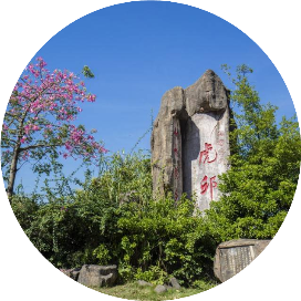 飘香虎邱