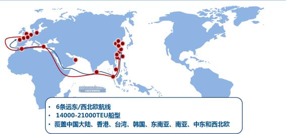 绝杀技和必杀技_绝杀技_绝杀技什么意思