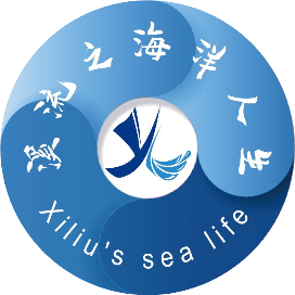 溪流之海洋人生