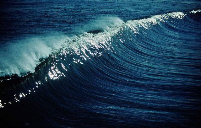 满天花雨和涌浪_涌浪_梧州涌浪