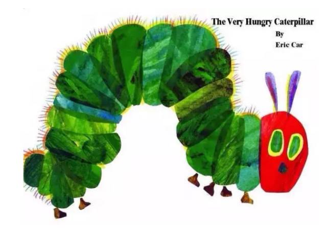 毛毛虫虫的英文怎么说_毛毛虫虫的英语怎么读_毛毛虫英文