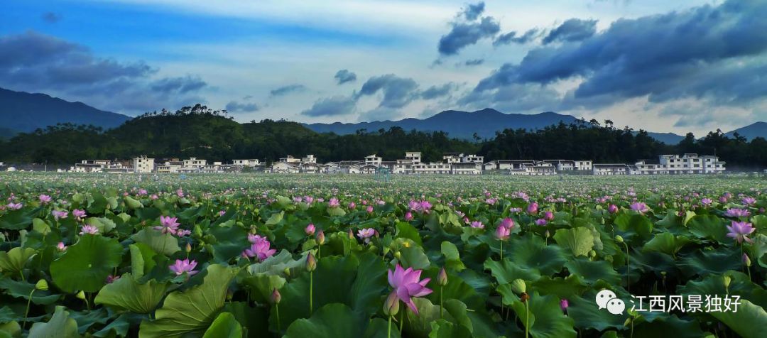 广  昌 广昌县,位于江西省抚州市南部,武夷山西麓.