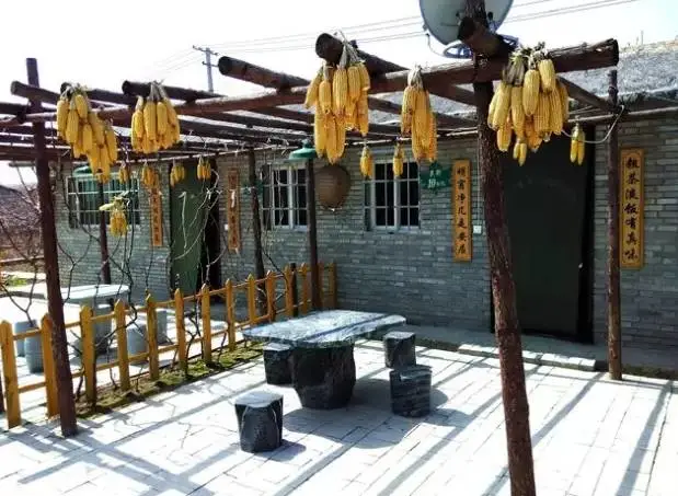 19塢ùס䲼ĵ˾ʾ