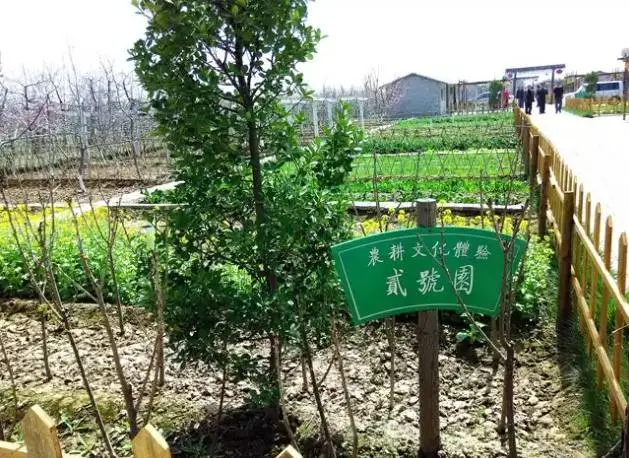 19塢ùס䲼ĵ˾ʾ