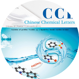 ChinChemLett