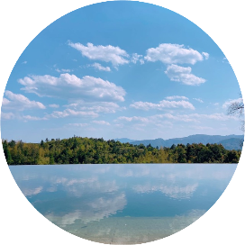 天使鱼的人间冒险