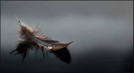 ʦ˵仰_Сʦ18799228849