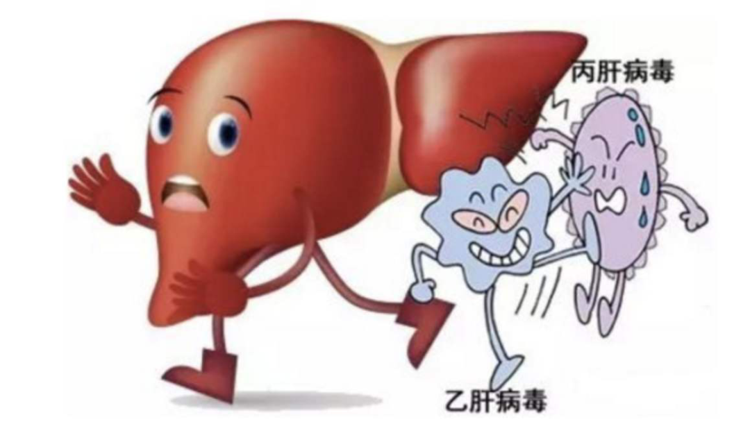 世界肝炎日07感染性疾病科举办病毒性肝炎健康科普活动