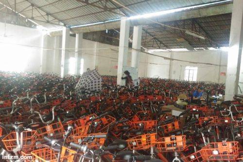 Ħ�ݵ���ά�޵��ڲ���һƬ��ɫ��������ά�޵㸺���˽��ܣ���Щ����δά�ޡ�