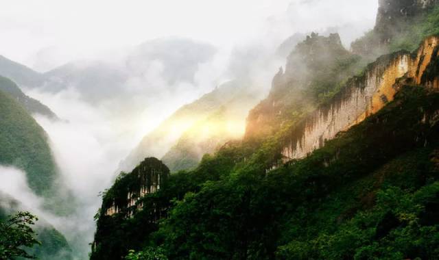 春雨绵绵 雾中重庆美景你看过几个？