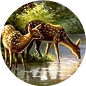 变好的路上有云姐