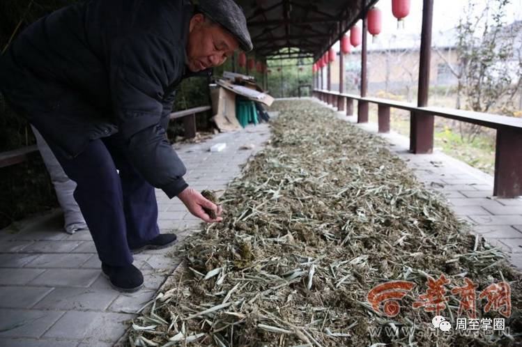 郑智化微博“喊话”想买的纸 在咱周至找到了